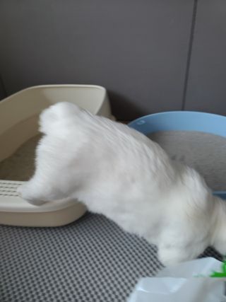 마녀철수님이 올린 리뷰 사진 3