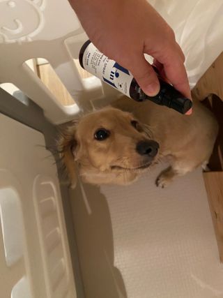 치토스님이 올린 리뷰 사진 3