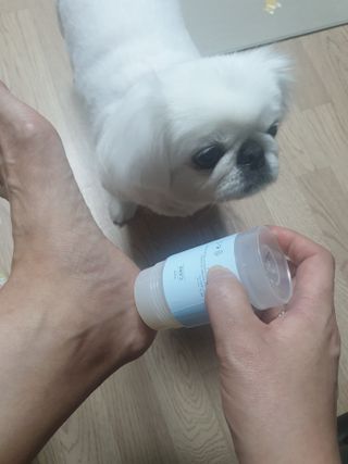 페키아름님이 올린 리뷰 사진 4