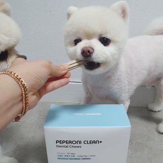 페페로니 클린플러스 덴탈치킨껌 10g x 14p — 4점을 준 리뷰어가 2021년 7월 올린 사용 사진