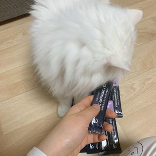 코코몰리 고양이 구강• 헤어볼 데일리 /신장• 요로 데일리 — 5점을 준 리뷰어가 2021년 1월 올린 사용 사진