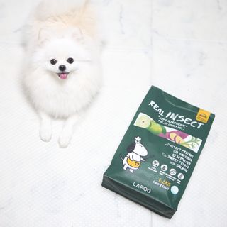 [푸디웜] 라포그  리얼인섹트 웨이트밸런스 저알러지 강아지 사료  1.2KG — 5점을 준 리뷰어가 2022년 7월 올린 사용 사진