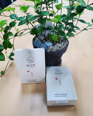 두류헌 샴푸바+컨디셔닝 린스바 머리가꿈세트 — 4점을 준 리뷰어가 2022년 5월 올린 사용 사진