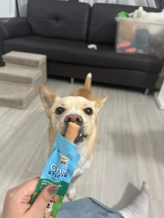 허니귀리님이 올린 리뷰 사진 2