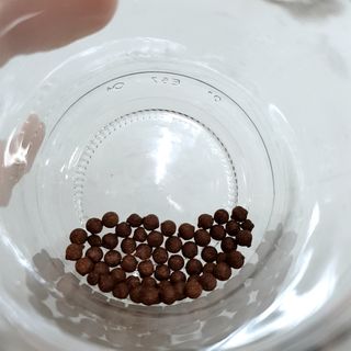 파랑새님이 올린 리뷰 사진 4