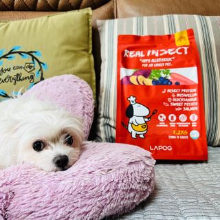 뽀히님이 올린 리뷰 사진 1