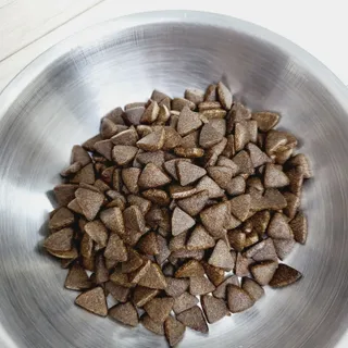[푸디웜] 라포그  리얼인섹트 웨이트밸런스 저알러지 강아지 사료  1.2KG — 5점을 준 리뷰어가 2022년 6월 올린 사용 사진