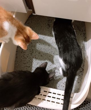 으나님이 올린 리뷰 사진 4