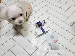펫21 그로그로 5종 강아지 고양이 반려동물 한방 영양제 — 5점을 준 리뷰어가 2021년 11월 올린 사용 사진