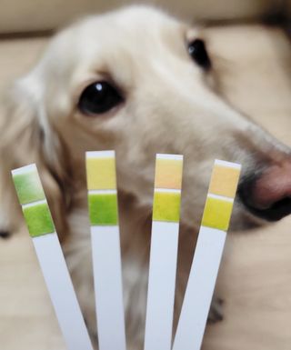 PDKIM님이 올린 리뷰 사진 2