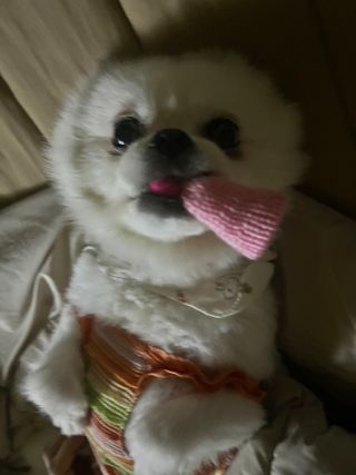 신다소미님이 올린 리뷰 사진 3