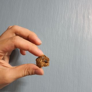 효희짱님이 올린 리뷰 사진 2