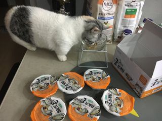 sunny님이 올린 리뷰 사진 2