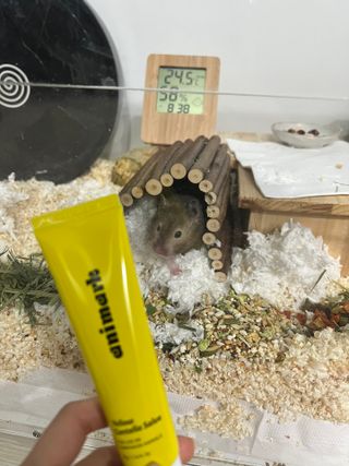 이연님이 올린 리뷰 사진 1