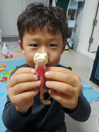 이공주님이 올린 리뷰 사진 3