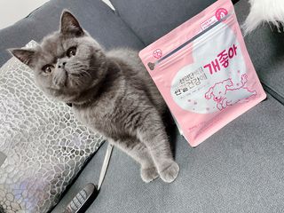 My Pet Care 천연단백질 관절건강에 개좋아 — 4.5점을 준 리뷰어가 2021년 3월 올린 사용 사진