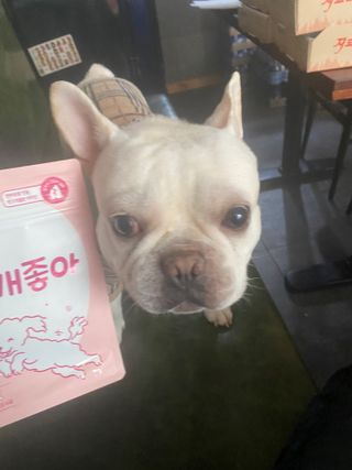 My Pet Care 천연단백질 관절건강에 개좋아 — 4.5점을 준 리뷰어가 2021년 1월 올린 사용 사진
