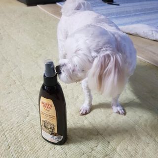쓸언니님이 올린 리뷰 사진 2