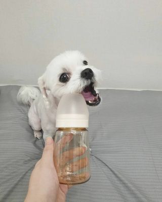cjmannia님이 올린 리뷰 사진 2