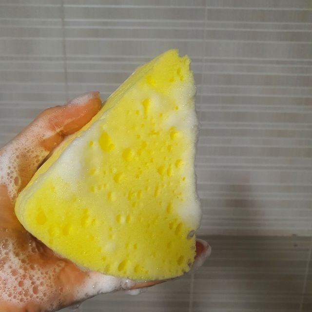 치즈바디스펀지 리뷰 사진