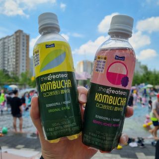 더그레잇티 콤부차 300ml *12개입 (오리지널 6개+베리리치 6개) — 4점을 준 리뷰어가 2022년 7월 올린 사용 사진