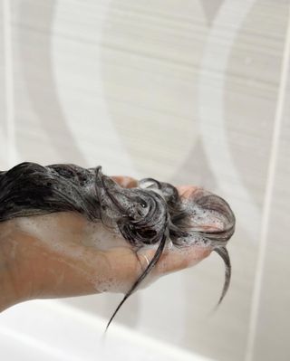 닥터시드 페퍼민트 앤 레몬 비건 비듬케어 쿨 탈모 샴푸 (1000ml) — 5점을 준 리뷰어가 2024년 2월 올린 사용 사진