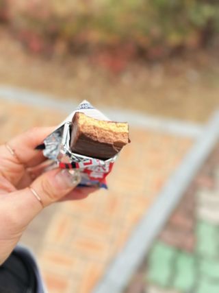 이지프로틴바 3종x각 2ea (고단백질바, 멀티단백질바, 식물성단백질바) — 5점을 준 리뷰어가 2024년 2월 올린 사용 사진