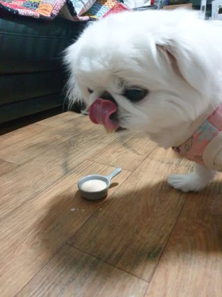 페키아름님이 올린 리뷰 사진 3