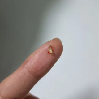 시크하게님이 올린 리뷰 사진 4