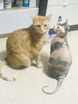 이아님이 올린 리뷰 사진 1