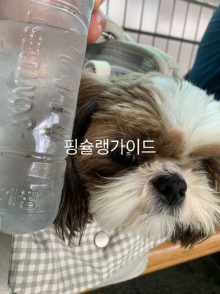 몽베스트 [MONTBEST]위드어스 500mL 20병 — 5점을 준 리뷰어가 2022년 8월 올린 사용 사진