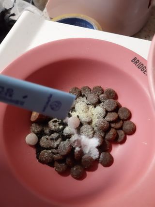 My Pet Care 장건강에 개좋아 — 4.5점을 준 리뷰어가 2021년 1월 올린 사용 사진