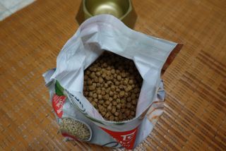 치킨수프 클래식 독 2.04KG — 5점을 준 리뷰어가 2021년 6월 올린 사용 사진