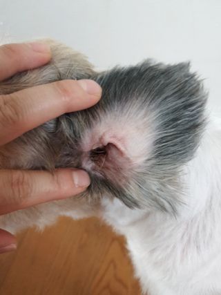 민우다빈이맘님이 올린 리뷰 사진 4