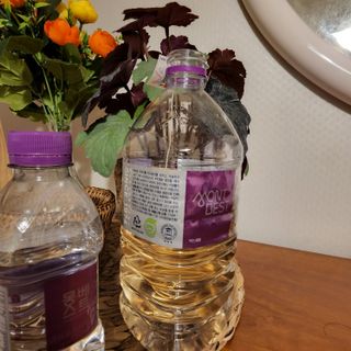 몽베스트 MONTBEST 1L 12입 — 5점을 준 리뷰어가 2022년 5월 올린 사용 사진