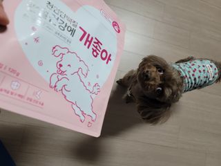 My Pet Care 천연단백질 관절건강에 개좋아 — 5점을 준 리뷰어가 2020년 12월 올린 사용 사진