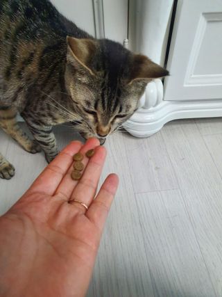 yumegom님이 올린 리뷰 사진 3