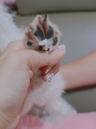 미진냥님이 올린 리뷰 사진 3