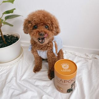조이님이 올린 리뷰 사진 3