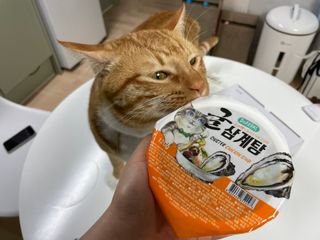 지동님이 올린 리뷰 사진 3