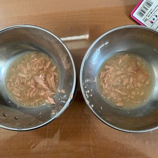비타크래프트 고양이 수프 50g 3가지맛 x4팩씩 총 12팩 — 5점을 준 리뷰어가 2021년 10월 올린 사용 사진