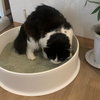 쥬아요님이 올린 리뷰 사진 4