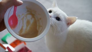도르방구님이 올린 리뷰 사진 4