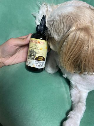 츄자매뽐까님이 올린 리뷰 사진 3