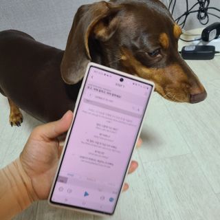 이쁘콩님이 올린 리뷰 사진 2