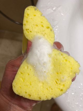 쓰담쓰담님이 올린 리뷰 사진 1