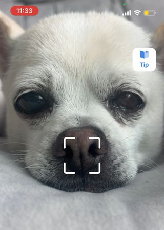 띵가띵가님이 올린 리뷰 사진 1