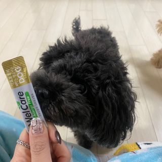 코랑이님이 올린 리뷰 사진 2