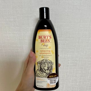 소링님이 올린 리뷰 사진 1