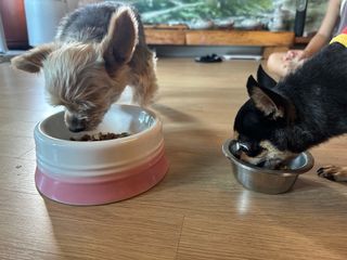 깡지님이 올린 리뷰 사진 2